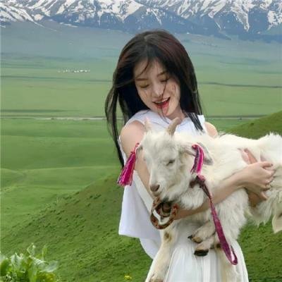 戴洛奇小镇第一季
