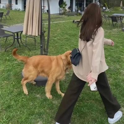 新婚浩劫